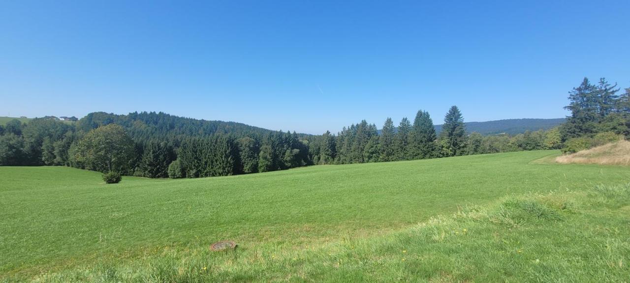 Anna Altreichenau Apartment Neureichenau Bagian luar foto