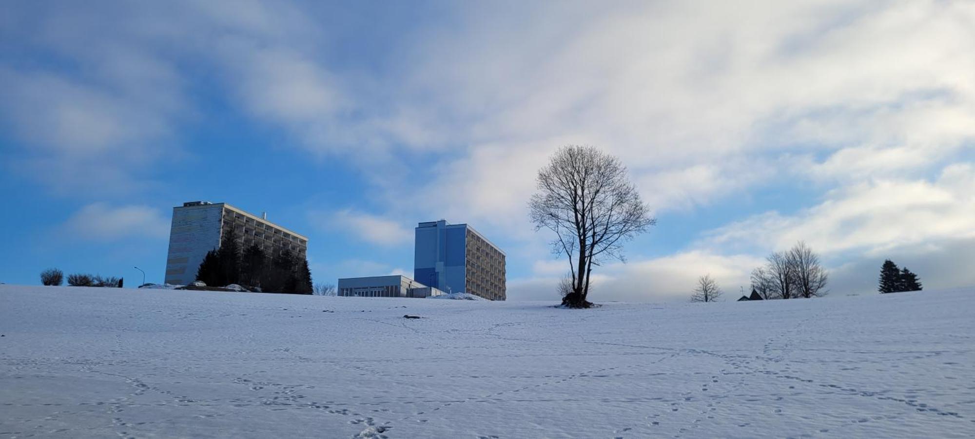 Anna Altreichenau Apartment Neureichenau Bagian luar foto